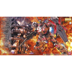 Unicorn Gundam + MS Cage MG 1/100 Bandai | Chile Robots